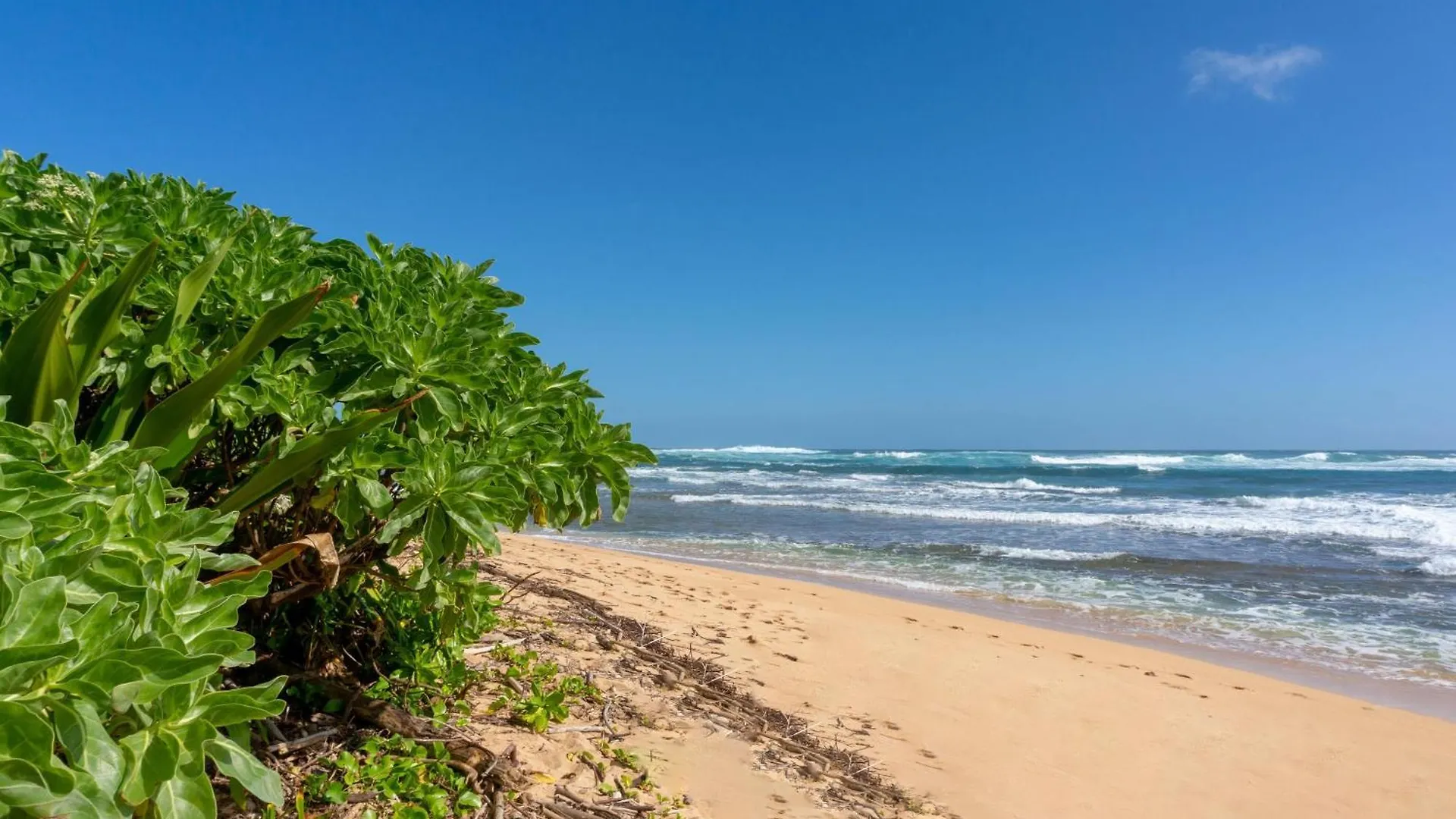 Apartamento Hanalei Colony Resort E1 Estados Unidos da América